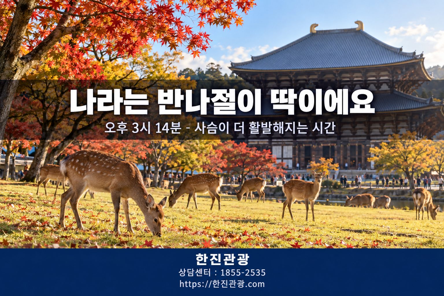나라 사슴공원 가을 - 교토 패키지 나라 반나절 코스